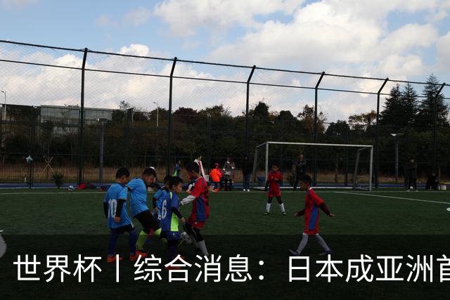 世界杯丨综合消息：日本成亚洲首支晋级球队 厄瓜多尔逆转德国